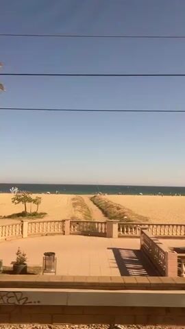 The video shows the view from a train passing by a beach. The beach is sandy with people enjoying various activities. Palm trees are scattered along the beach and there is a red railing separating the train tracks from the beach. The sky is clear and blue.