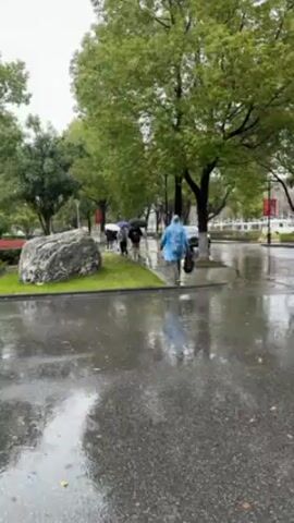 The video shows a rainy scene with cars driving on a wet road, people walking with umbrellas and wearing raincoats, and green trees lining the street. A large rock sits on a patch of grass next to the pavement. The reflections on the wet ground are prominent.