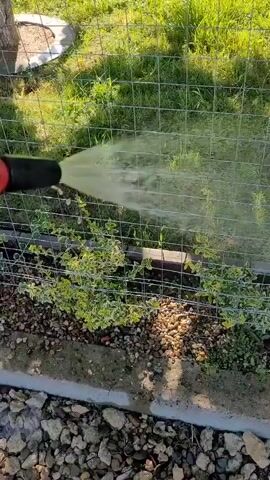 A black nozzle sprays a misty yellow liquid through a wire fence onto green foliage and grass. The fence is in the foreground, and the grass and foliage are behind it. The ground in front of the fence is covered with gravel and some dirt. The sun is shining, casting shadows.