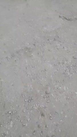 The video pans from a dirt ground to a tall, modern skyscraper with a curved facade and exterior lighting. In front of the building, there are trees and some dry vegetation. The sky is overcast. There are no people visible in the video.
