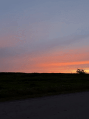 Colorful sunset observed over grassy landscape in Aleksandrovka, Russia