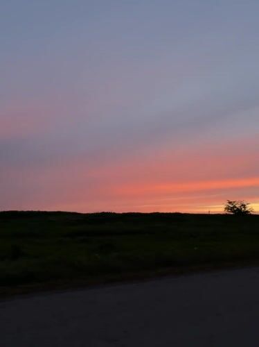 Colorful sunset observed over grassy landscape in Aleksandrovka, Russia