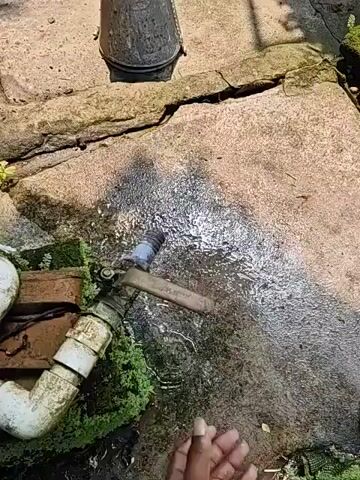 A person's hand is holding a faucet handle, turning it to release a stream of water that sprays onto a concrete surface. A metal bucket filled with a light-colored substance is visible in the background. The ground appears wet, and there is some green moss or plant growth. The scene is outdoors, with shadows indicating sunlight.