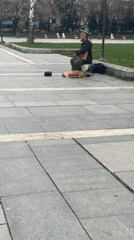 Afternoon scenes from Sofia: street music, food, gatherings