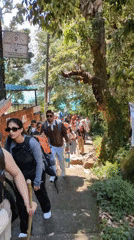 Morning life unfolds across Dharamshala's mountain communities