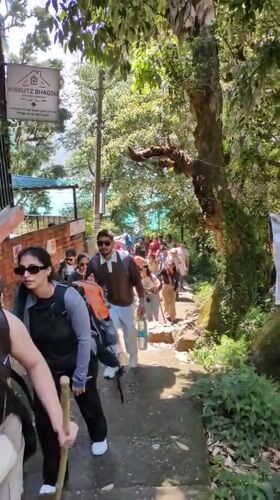 Morning life unfolds across Dharamshala's mountain communities
