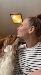 Woman and Cavalier King Charles Spaniel share affectionate moments