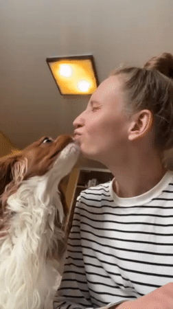 Woman and Cavalier King Charles Spaniel share affectionate moments