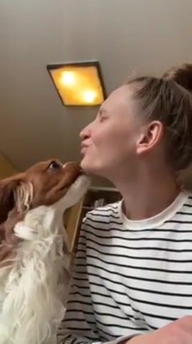 Woman and Cavalier King Charles Spaniel share affectionate moments