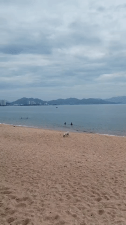 Overcast morning documented across Nha Trang beaches and streets