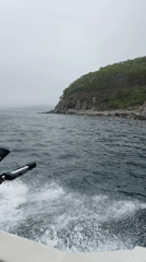 Late-night boat trip near Andreevka captures casual passenger moment