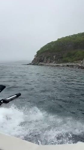 Late-night boat trip near Andreevka captures casual passenger moment