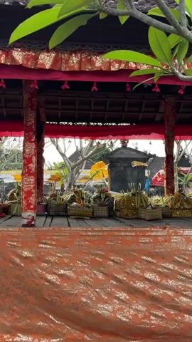 The video shows an outdoor scene at what appears to be a temple or ceremonial site. In the foreground, an orange fabric with a white floral pattern is draped. Behind this, a wooden platform is visible, lined with numerous offerings placed in woven baskets. These offerings consist of various items, including what seem to be woven mats, food items, and possibly decorative elements. The baskets are arranged in rows. In the background, a covered structure with red and gold decorative trim and red pillars stands. Beyond this structure, there is a small, dark, stone building. Yellow umbrellas and other colorful decorations are visible in the middle ground, suggesting a festive or ritualistic event. Green leaves from an overhanging tree are in the upper portion of the frame. No people are clearly visible in the video. The overall environment appears to be warm and possibly humid, consistent with a tropical or sub-tropical climate.