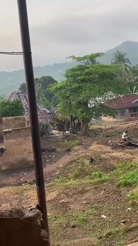 The scene captures a typical rural African setting with goats and chickens roaming freely. A brown and black goat stands on a concrete platform while a white goat rests nearby. Several chickens peck at the ground. The landscape is a mix of dirt paths, sparse vegetation, and scattered debris. A large tree provides shade over the scene. In the background, corrugated metal roofs of houses and lush green hills add depth to the environment. The video is shot from an elevated position, likely indoors, as suggested by the visible window frame.