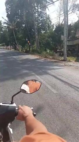 A first-person perspective video shows someone riding a white scooter down a paved road. The rider's hand is visible on the handlebars, and their reflection can be seen in the scooter's side mirror. The road is lined with trees and vegetation. In the distance, there are several flags or banners hanging from poles. A white and red striped barrier is visible across the road, suggesting a crossing or checkpoint. A large sign with text and an image is also present on the left side of the road. The sky is bright, indicating daylight.