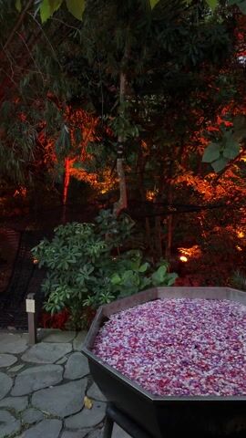 The video shows a large, hexagon-shaped container filled with small, colorful pebbles or beads. The colors appear to be a mix of red, white, and purple. The container sits on a set of metal legs on a stone-tiled walkway. Beyond the container, the scene transitions into a dense, green, leafy forest area. The forest is illuminated with orange or reddish-toned lighting, creating a dramatic, almost fiery effect among the trees. Some smaller, round lights can be seen further in the background. A wooden walkway leads toward the illuminated forest area. The overall mood is somewhat mysterious and artful due to the combination of the colorful pebbles and the dramatic lighting in the forest.