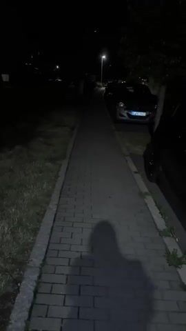 The video shows a nighttime view down a paved sidewalk lined with grass and trees. Parked cars are visible on the right side of the sidewalk. Streetlights illuminate parts of the scene, casting shadows. A faint shadow of a person appears to be walking on the sidewalk. The overall environment appears to be a residential or urban street.