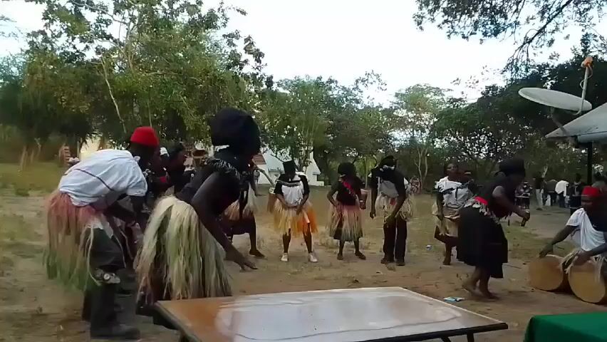 Here's a description of the video:

The video shows a group of people performing a traditional dance in an outdoor setting. They are dressed in a variety of costumes, including grass skirts and red caps. Some are drumming and others are playing instruments, while the rest are dancing in a circle. The background includes trees, a building with a white tent, and what looks like a satellite dish. There are also people watching the performance from the sidelines. The ground appears to be sandy.