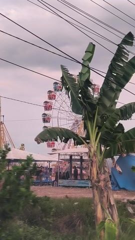 The video captures an outdoor scene in Blangbitra, Indonesia, during what appears to be an overcast day. The camera is positioned on a moving vehicle, showing a road alongside an event area, possibly a fair or festival.

**Subjects:** Several individuals are visible, including a person sitting in the back of a truck, and another person briefly walking alongside it. Banana trees are prominent in the foreground and midground, with large green leaves. Utility poles with numerous power lines crisscross the upper part of the frame.

**Objects:** A large Ferris wheel with red and white gondolas is a central feature of the event area. Various tents, including large white ones and smaller blue ones, are set up. A black truck with a cage-like rear is seen, carrying a cardboard box and a white bag. A motorcycle passes by briefly.

**Scene/Setting:** The scene unfolds along a paved road next to a grassy area where the event is taking place. The presence of banana trees and the type of tents suggest a tropical or semi-tropical outdoor event.

**Activity or event taking place:** The primary activity is the movement of a vehicle along the road, offering a view of the adjacent fairground. The fairground itself appears to be active with tents and rides.

**Notable details:** The sky is largely overcast, indicating either a cloudy day or early morning/late afternoon. The video is rotated 90 degrees counter-clockwise. The banana trees are a distinctive feature of the landscape.

**Visible text:** A small, red and white sign on a wooden post reads "PARKING" with an arrow pointing right.