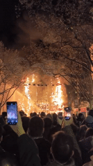 Crowds witness traditional Fallas festival burning ceremony in València