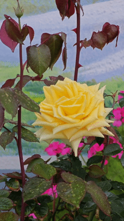 Two people spotted on mosque roof in Finike, Turkey