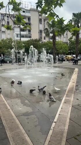 Pigeons bathe in public fountain in Bar, Montenegro