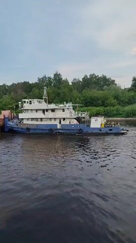 A blue and white river towboat is visible on a dark river. The boat appears to be partially docked on the left, though it is not entirely clear. The towboat is rectangular and boxy, with a white cabin on top of the hull. The water is dark and has ripples throughout.  The background features trees, brush, and a blue sky.
