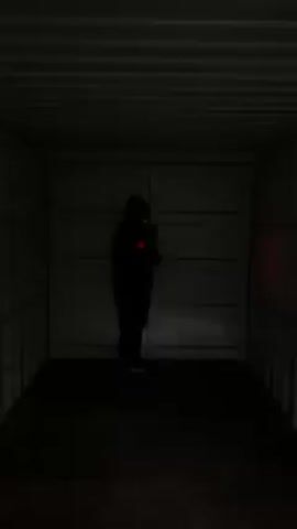 A person in dark clothing and a mask stands inside a cargo container. The container is dark until the person shines a bright light, temporarily illuminating the interior, then the container returns to darkness. The interior walls of the container are corrugated metal, and the doors are closed. The floor appears to be wood.