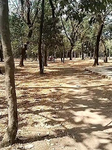 A wide shot captures a dirt path winding through a wooded area. The ground is covered in fallen leaves, and sunlight filters through the dense canopy of trees, casting dappled shadows on the path. In the mid-ground, two individuals are visible near a bicycle. One person, wearing a green shirt, appears to be talking to another person, who is seated on the bicycle. The person on the bicycle is wearing a red garment. The interaction seems casual. The background shows more trees and a continuation of the path, suggesting a park or natural setting. The overall atmosphere is tranquil and natural.