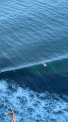 Surfers work a solid lineup off Kuta Selatan's coast