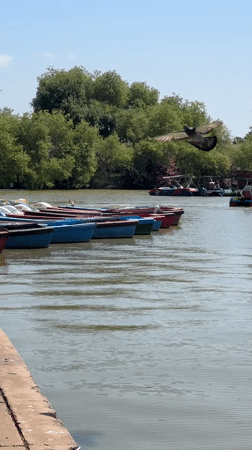 Saturday morning recreation unfolds along Tel Aviv's Yarkon River