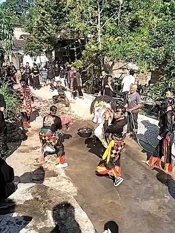 The video shows an outdoor cultural performance, likely a traditional dance, taking place on a paved, wet surface, possibly a street or courtyard. Several people are gathered on the sides, observing the event. In the center, performers are dressed in elaborate, colorful costumes. Some appear to be wearing masks or headdresses that resemble animals, possibly horses, as one performer is holding a white and brown horse-like prop. The performers are engaged in dynamic movements, with some interacting with each other and others appearing to be performing individually. There are buckets or bowls placed on the ground in front of some performers, which may contain offerings or water. The environment is characterized by lush green trees and vegetation, suggesting a tropical or subtropical setting. The sunlight indicates it is daytime. The overall atmosphere appears festive and engaging.