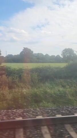The video shows a view from a moving train, looking out of the window. The train tracks are visible in the foreground. Beyond the tracks, there are trees and a grassy field under a blue sky with clouds. In the distance, there appears to be a utility pole and possibly a flag. The sun is shining, creating some glare on the window, and there are blue light reflections visible. The scene suggests a rural or semi-rural landscape.