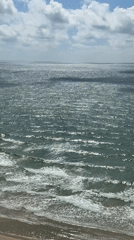 Recreational boating and wildlife observed off Netanya coast