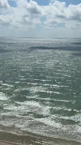 Recreational boating and wildlife observed off Netanya coast