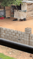 Daily life scenes captured in Abuja residential area