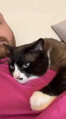 Woman and blue-eyed cat share quiet moments in Russia