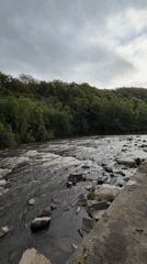 River scenes and dog walk captured in Meisenheim