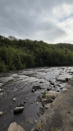 River scenes and dog walk captured in Meisenheim
