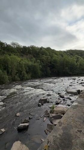 River scenes and dog walk captured in Meisenheim