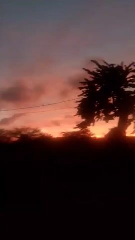 A video of a sunset. The sky is filled with hues of orange, pink, and purple clouds. Silhouetted against the sky are trees and a telephone wire. The video is filmed from a handheld perspective, giving it a shaky quality.