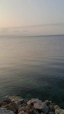A fishing rod stands upright in the water with a calm sea stretching out to the horizon. The sky is a pale gradient of pink and blue, suggesting either sunrise or sunset. Rocks are visible in the foreground, bordering the water. The camera perspective is fixed, capturing a serene and tranquil moment.