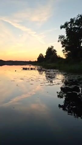 This video shows a tranquil lake scene at sunset. The sky is a gradient of soft orange and pink hues, with thin wispy clouds. The water is calm and reflects the colors of the sky and the surrounding trees. On the right side of the frame, a silhouette of trees lines the shore. In the water, there are some lily pads and a small wooden dock structure. The overall atmosphere is peaceful and serene.