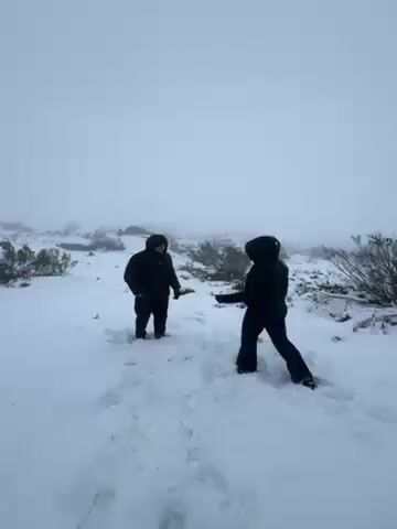In a wide shot on a cloudy, snowy day, two people dressed in dark winter clothes are standing in a field of snow. The ground is covered in fresh snow, with some bushes and rocks visible in the background, partially obscured by the fog. One person appears to push the other, who then falls backwards into the snow. They end up lying prone in the snow. The camera remains static throughout the short video.