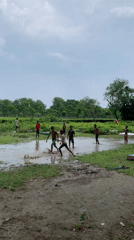 Muddy field games at Beech Tea Garden on an overcast morning