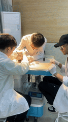 Medical students conduct lab work at Chongqing University