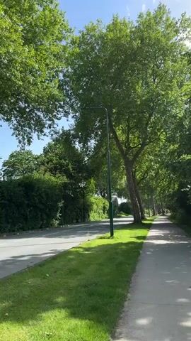 The video depicts a green lawn stretching from the roadside to a sidewalk next to a street. A dark gray or black Volvo XC40 passes along the road. Trees line the sidewalk and road, with a light pole near the sidewalk. The sky is visible through the trees, appearing blue with some clouds. The scene is generally well-lit, indicating a sunny day.
