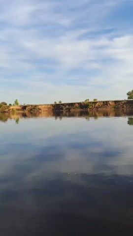 A wide shot captures a serene river scene under a bright blue sky dotted with wispy white clouds. The water is calm and reflects the sky and the green foliage of trees lining the opposite bank. On the right side of the frame, patches of green aquatic vegetation float on the water's surface. The camera pans slowly to the left, revealing a steep, earthy embankment on the far shore, also reflected in the water. Small trees and shrubs grow on top of the embankment. The overall atmosphere is peaceful and natural.