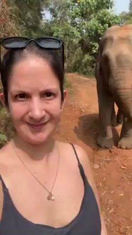 A woman is taking a selfie with an elephant. The woman is fair-skinned and has dark hair and sunglasses perched on her head. She's wearing a grey tank top and a gold necklace. She's smiling at the camera. To her right is a young elephant, dusty-colored, standing on a dirt path. The elephant is also looking at the camera. The path is surrounded by lush green trees and vegetation. The sky is bright and clear. The elephant lifts its trunk up slightly.