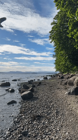 Sunny afternoon documented along Oslo's scenic rocky shoreline